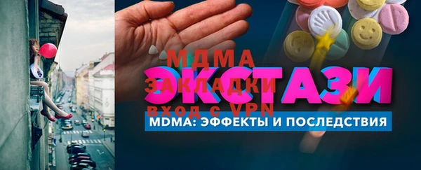 индика Горняк