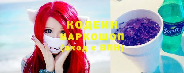 индика Горняк