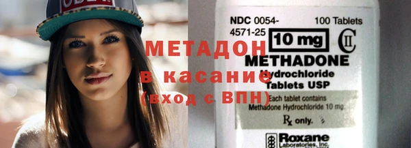 индика Горняк