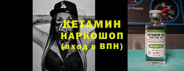 индика Горняк