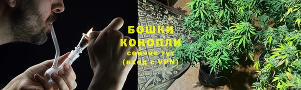 дурь Горнозаводск