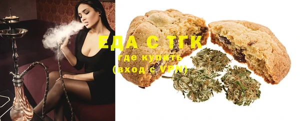 индика Горняк